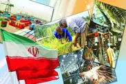 بورس، مکمل تأمین مالی اقتصاد